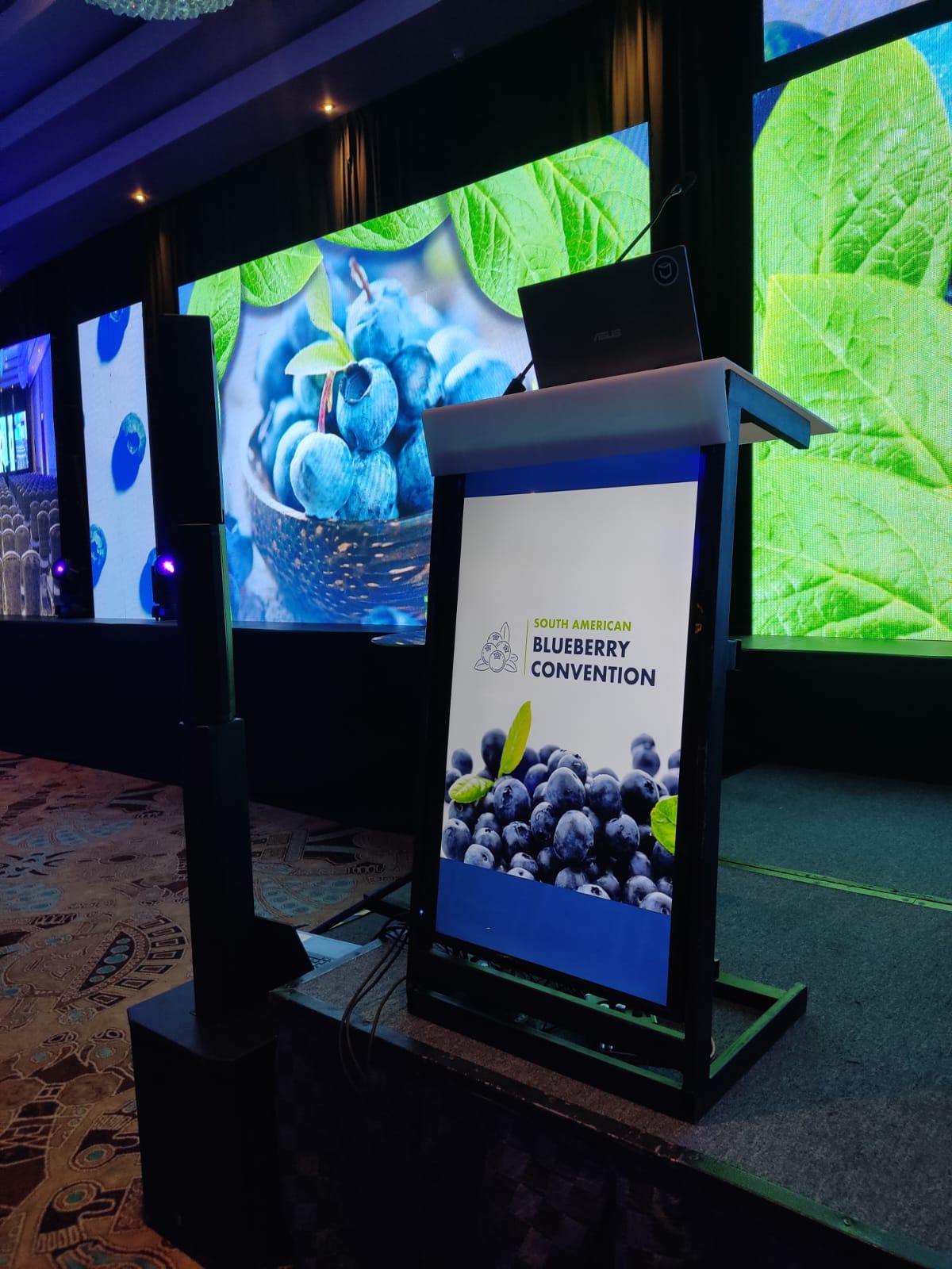 Pódium multimedia con pantalla frontal vertical y gráfica de South American Blueberry Convention